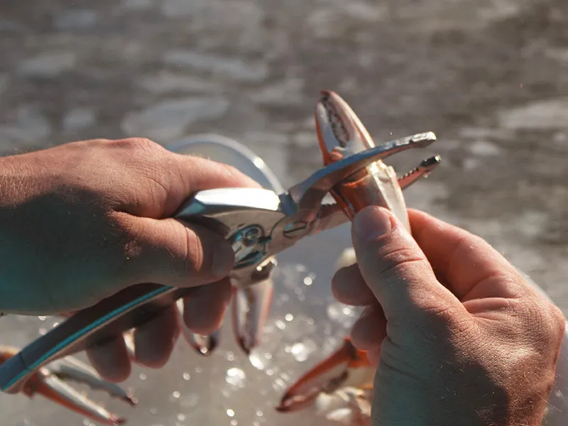 Toadfish Crab Cutter